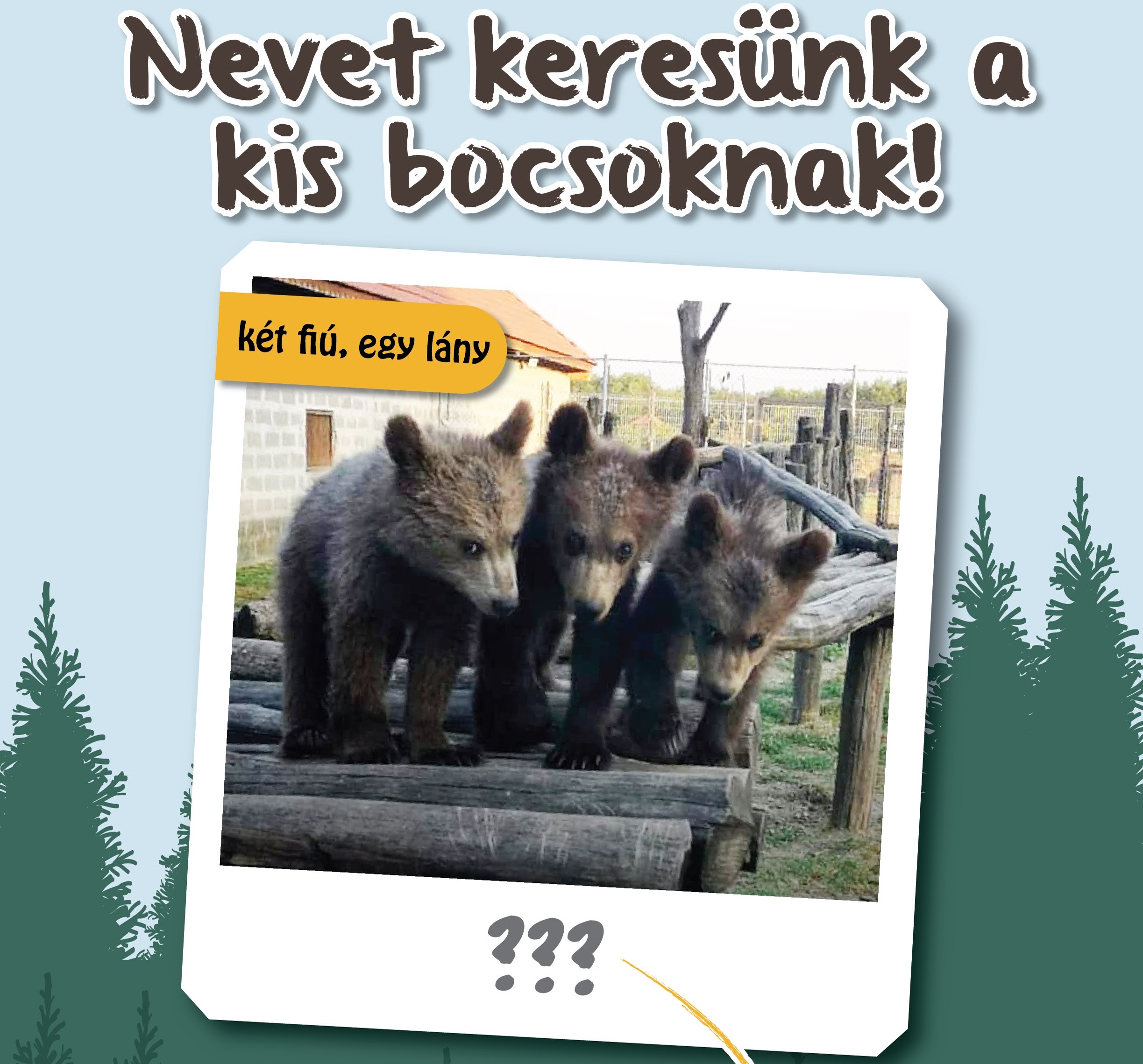Temesvri macik